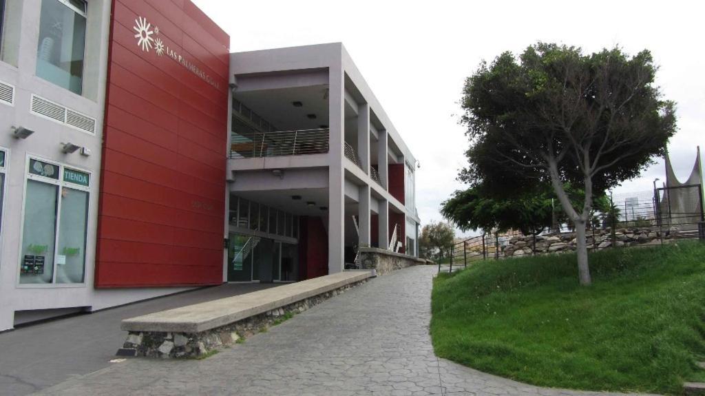 Lala Loft Las Canteras Λας Πάλμας ντε Γκραν Κανάρια Εξωτερικό φωτογραφία